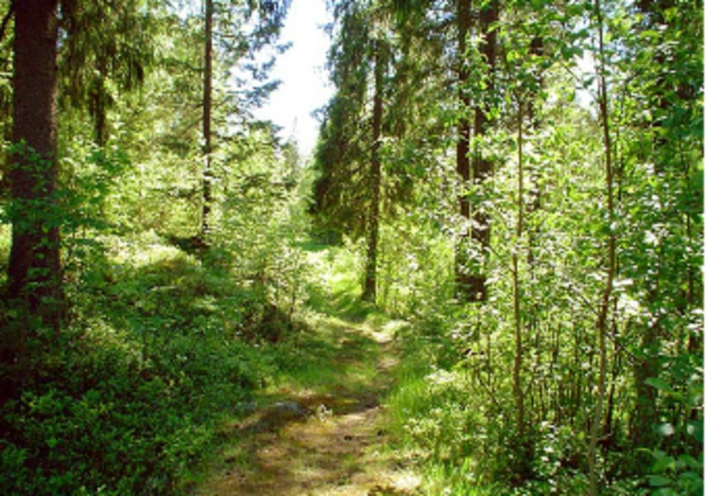 Lufta Camping & Restaurang Ånäset المظهر الخارجي الصورة